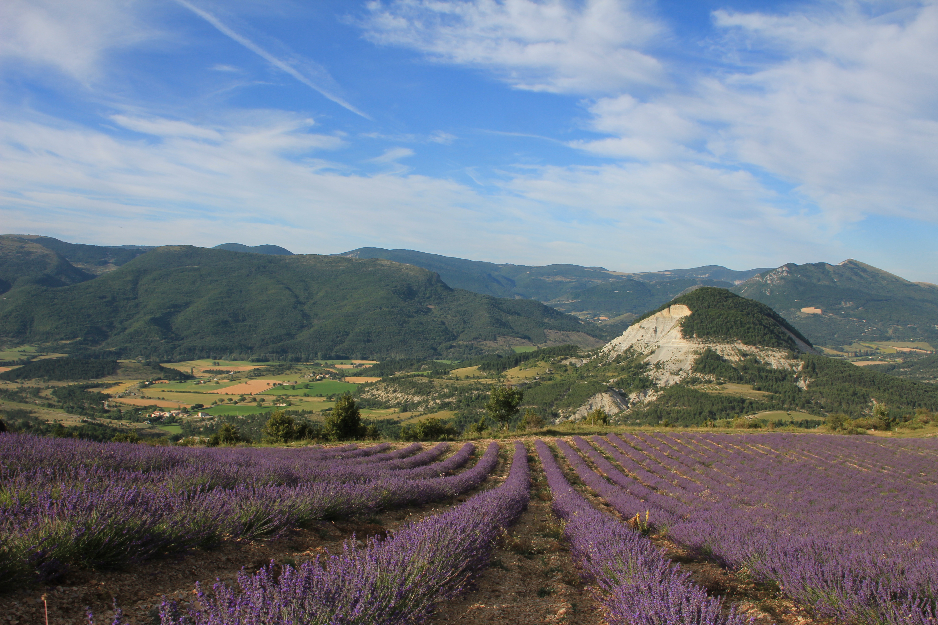 Huile essentielle lavande fine BIO - Couleurs Provence